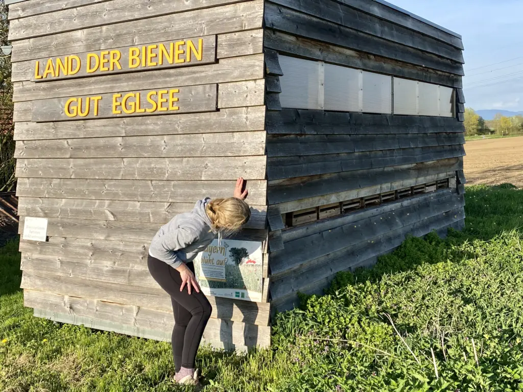 Bienenstöcke auf der Wildblumenwiese von Gut Eglsee