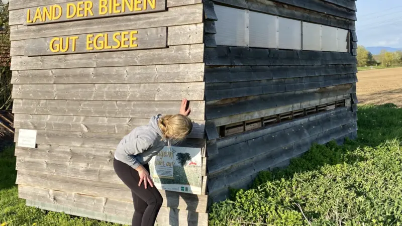 Bienenstöcke auf der Wildblumenwiese von Gut Eglsee